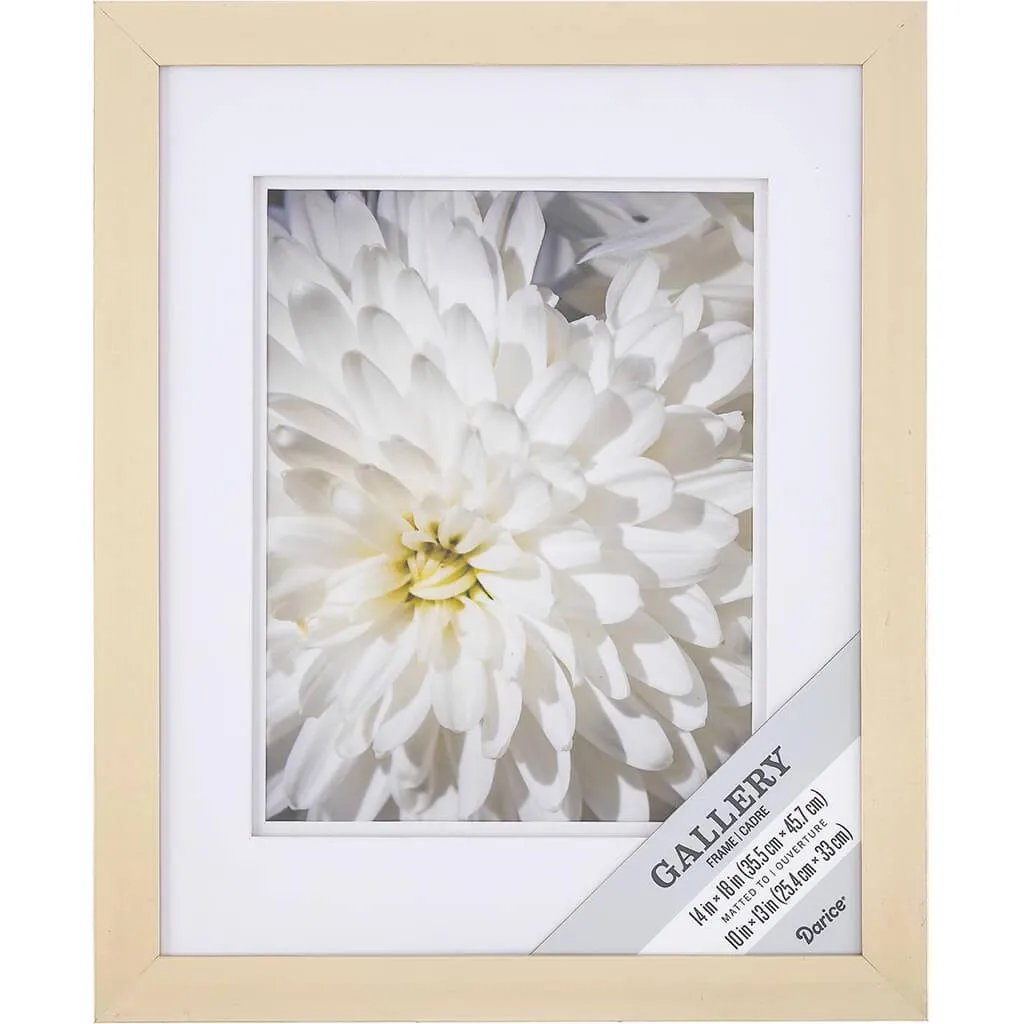 14 x 18 Gallery Picture Frame: White/Champagne, 16 x 20 inches