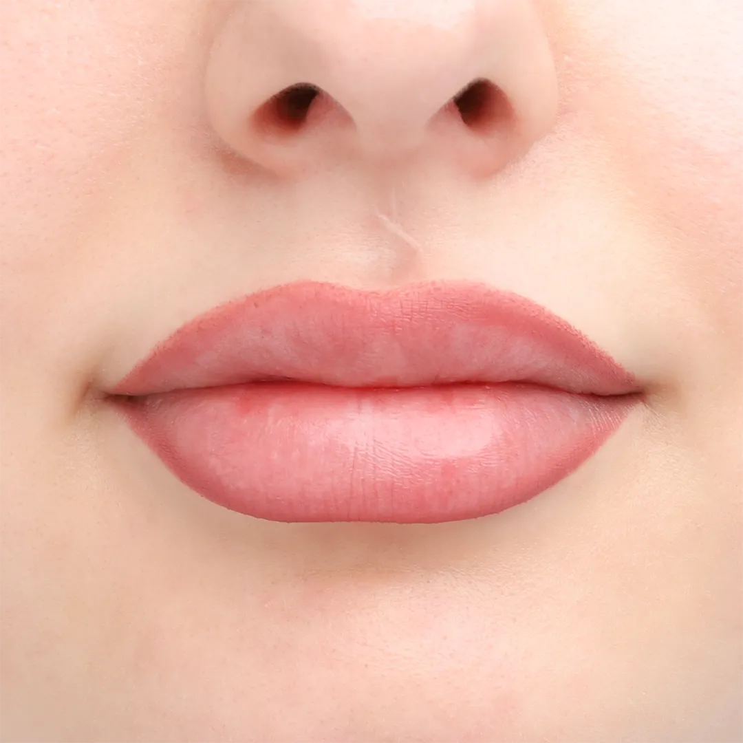 206 - Lipliner Nature