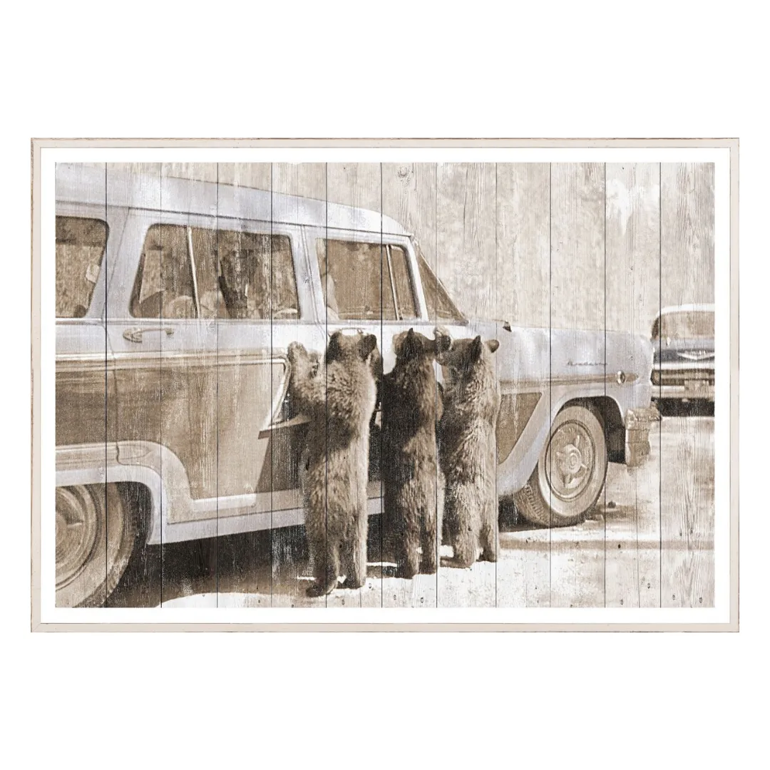 3 Bear Cubs Wall Art