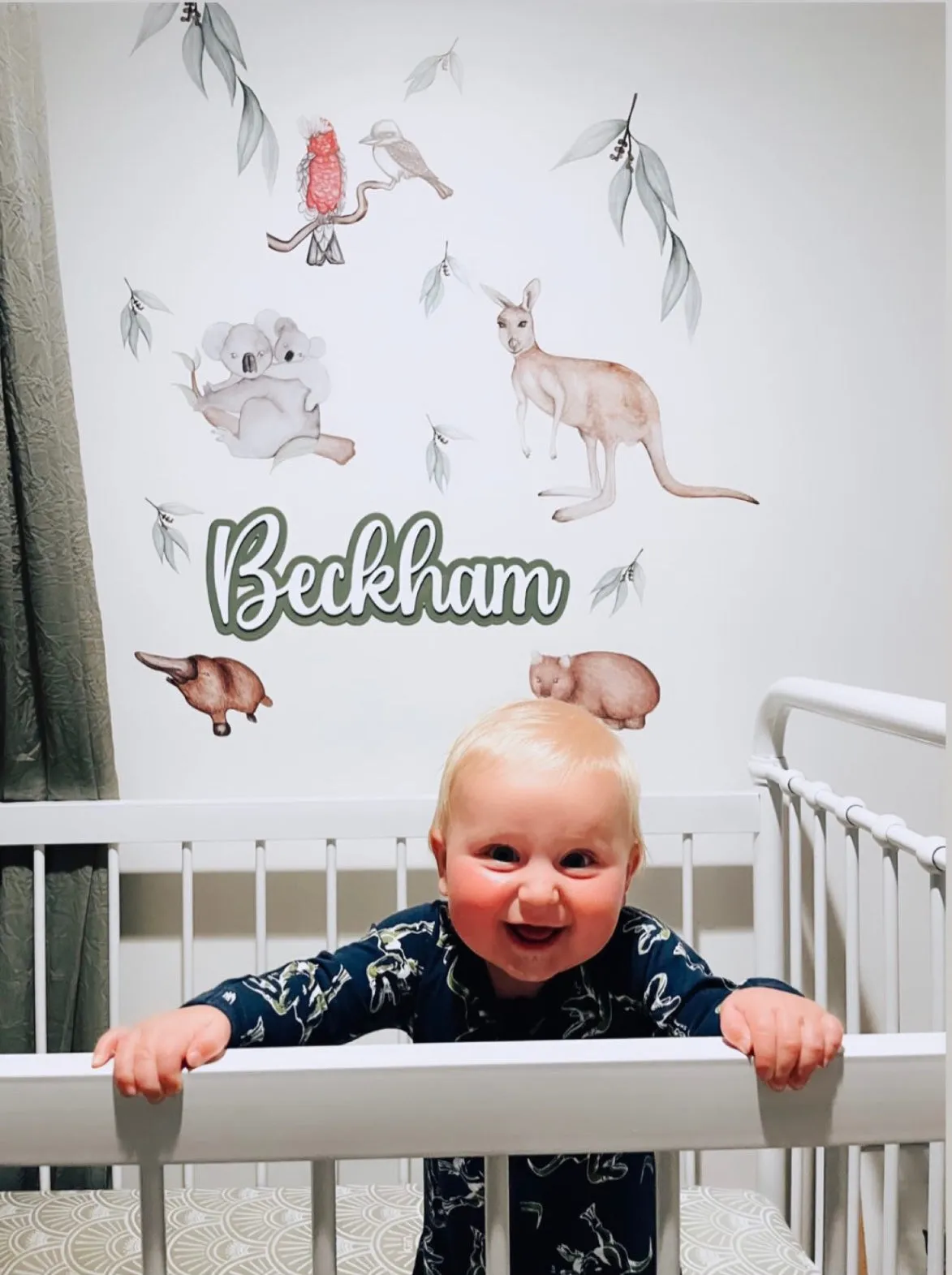 Australian Animals Australian Design Hand Painted Peel & Stick, Removable Wall Decal. Nursery, Kids Playroom, Kids Teens Bedroom