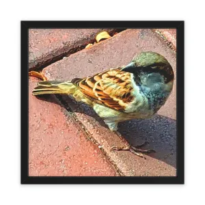Bird Framed Poster