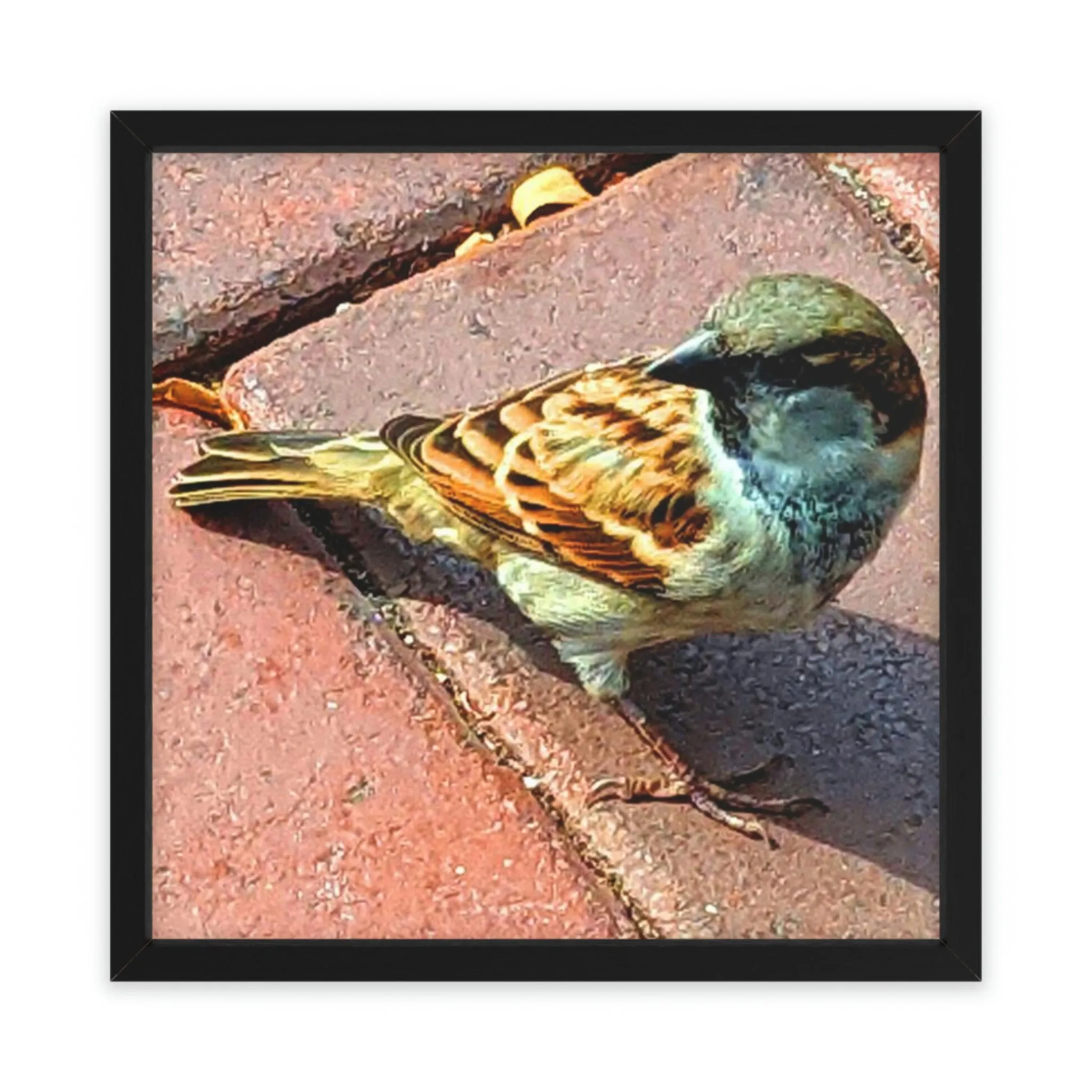 Bird Framed Poster