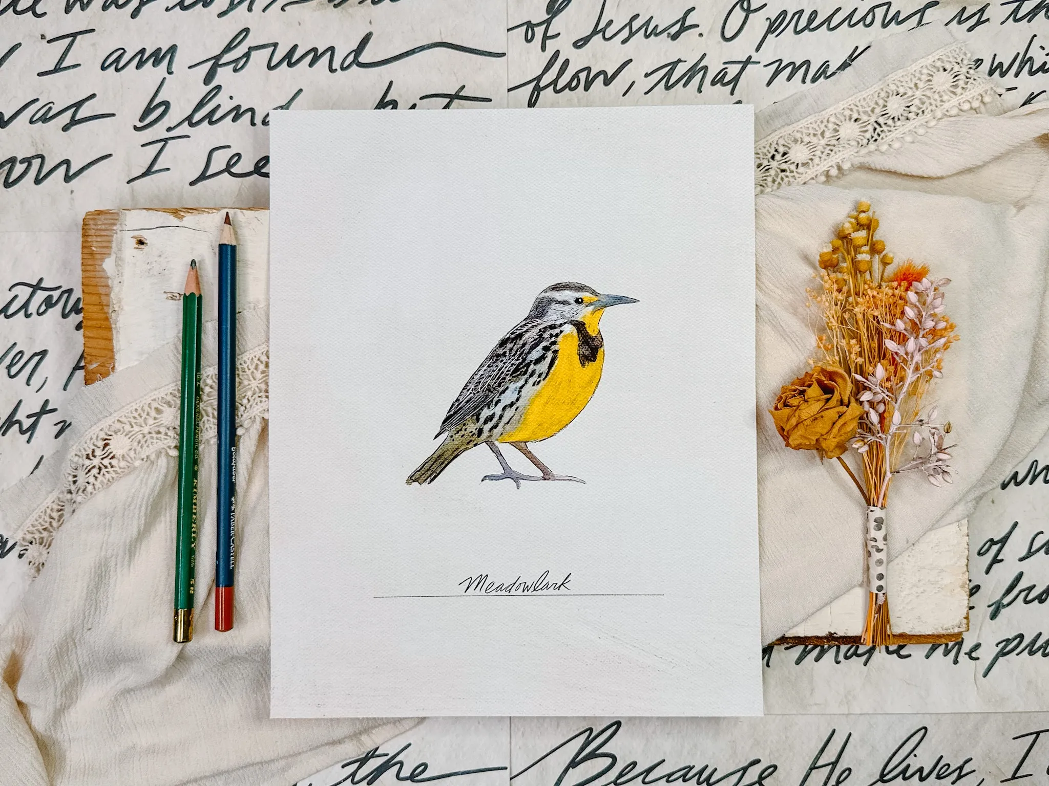 Bird Prints