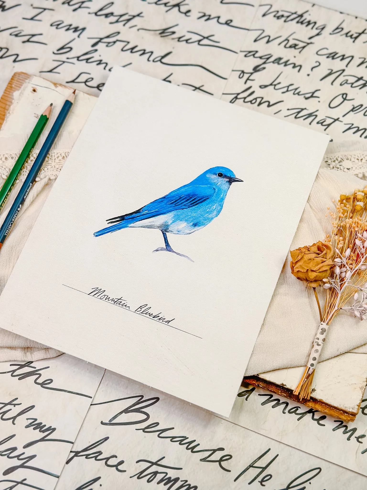 Bird Prints