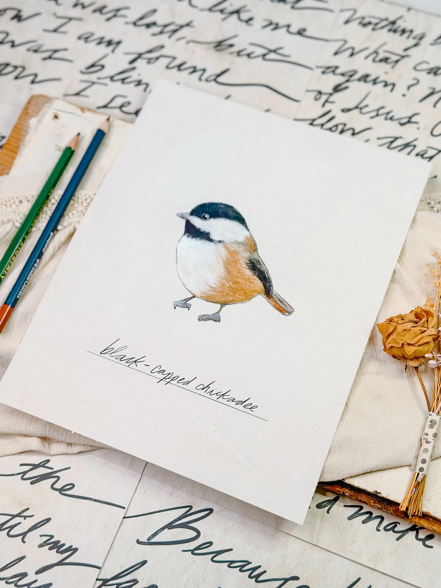 Bird Prints