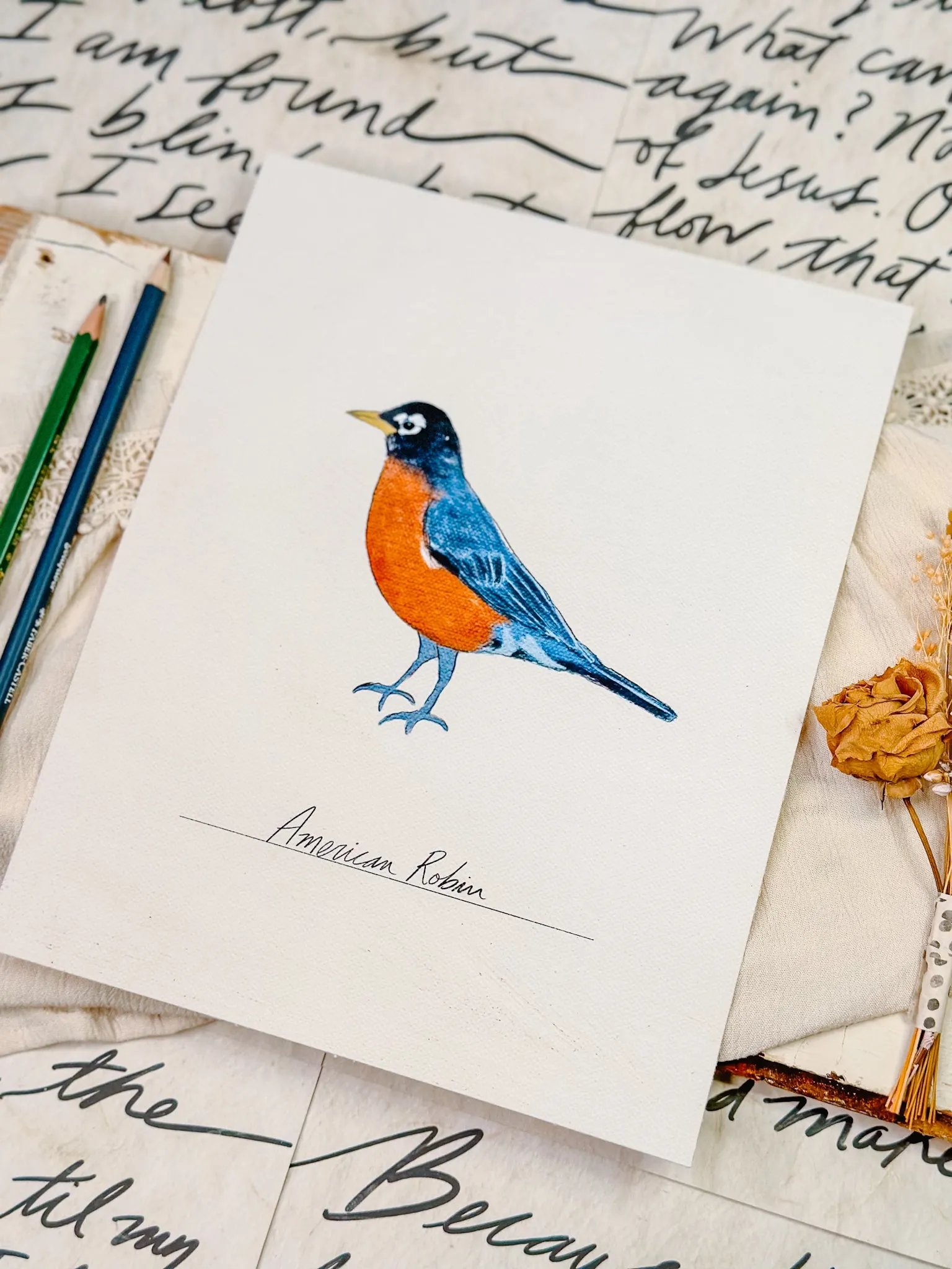 Bird Prints