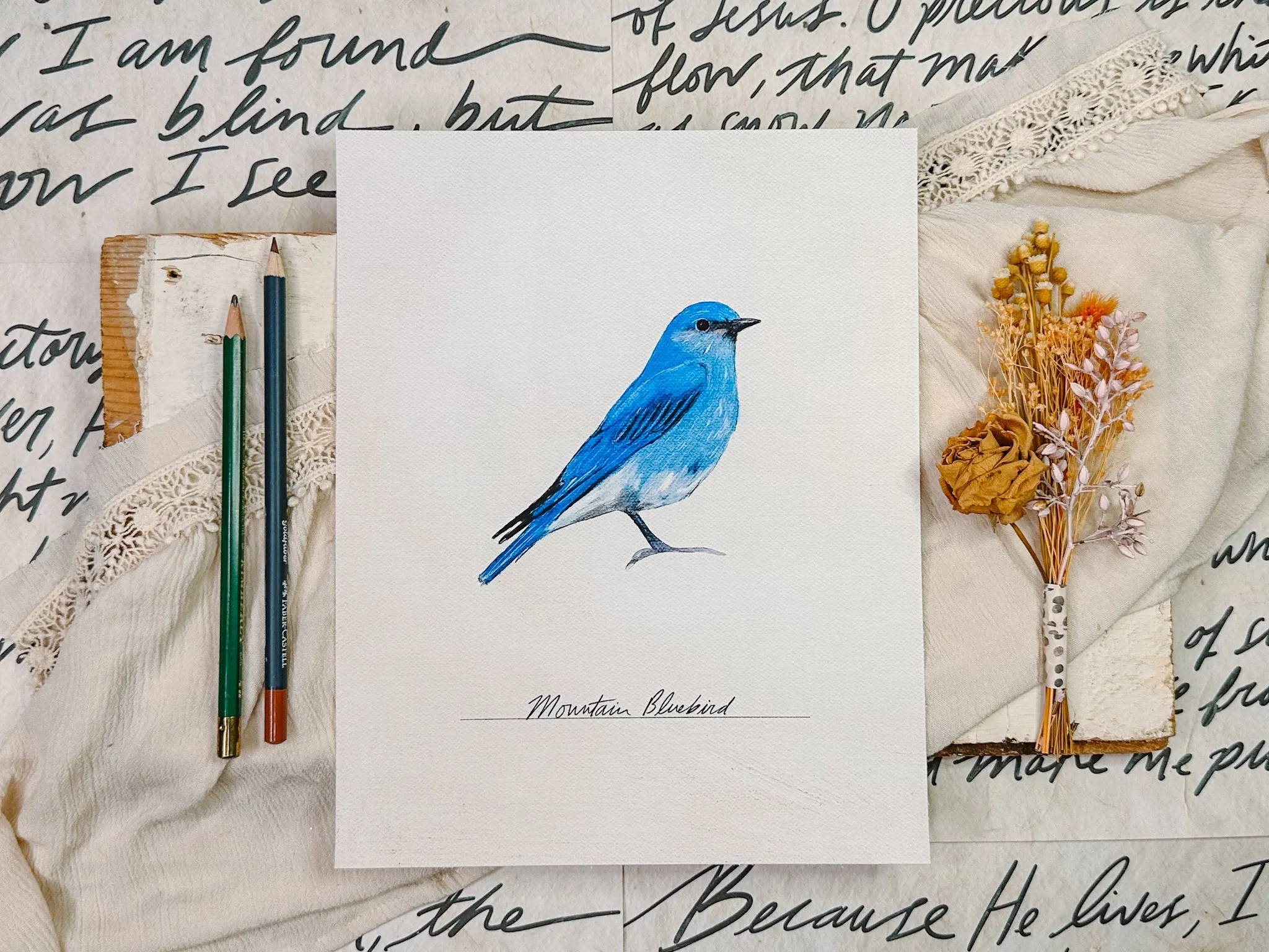 Bird Prints