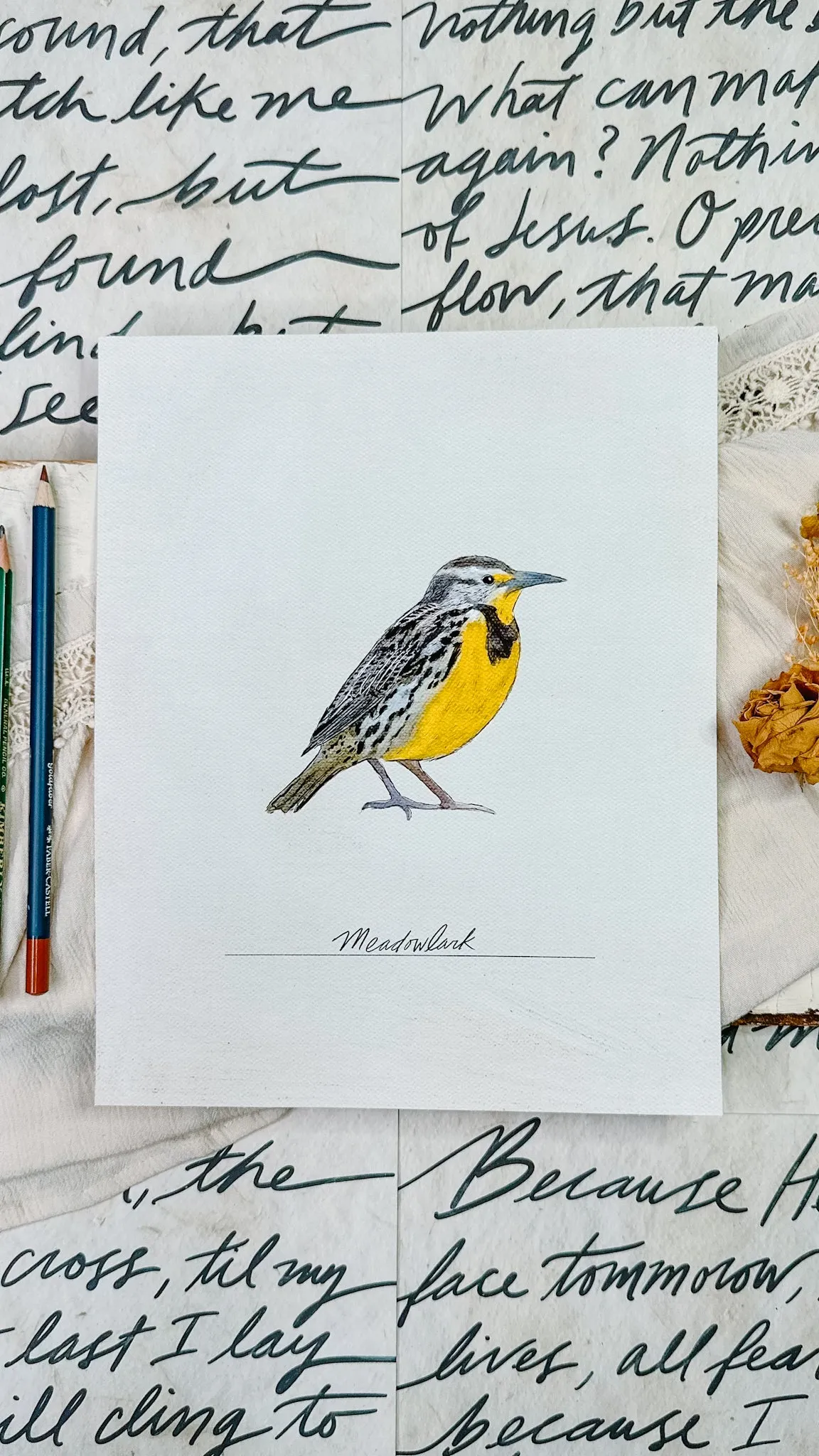 Bird Prints