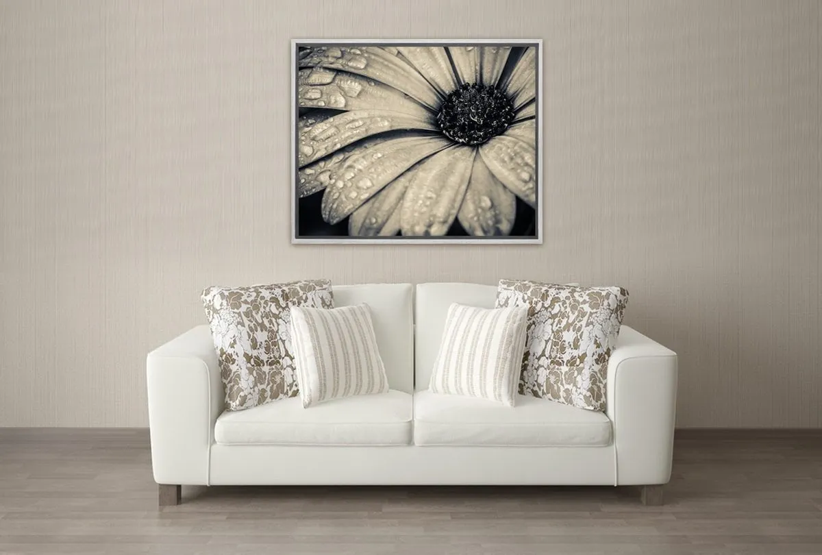 Black and White Daisy | Floral Canvas Wall Art Print