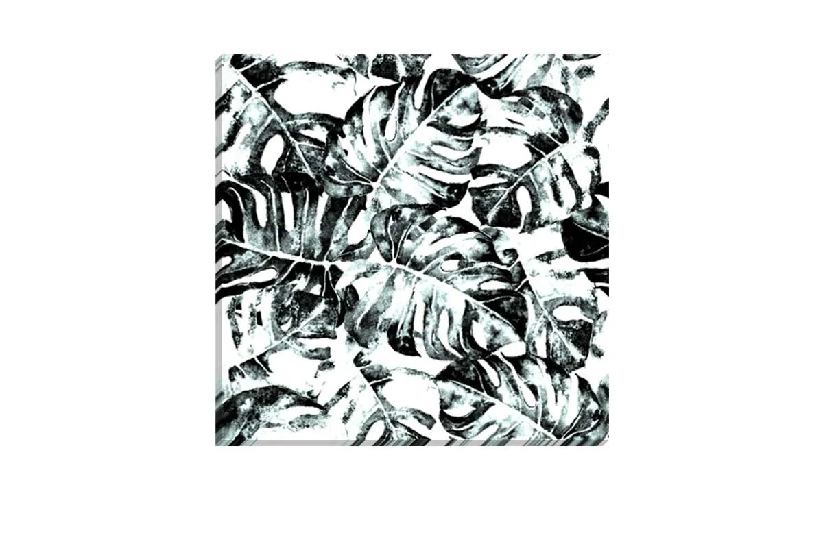 Black and White Monstera | Canvas Wall Art Print