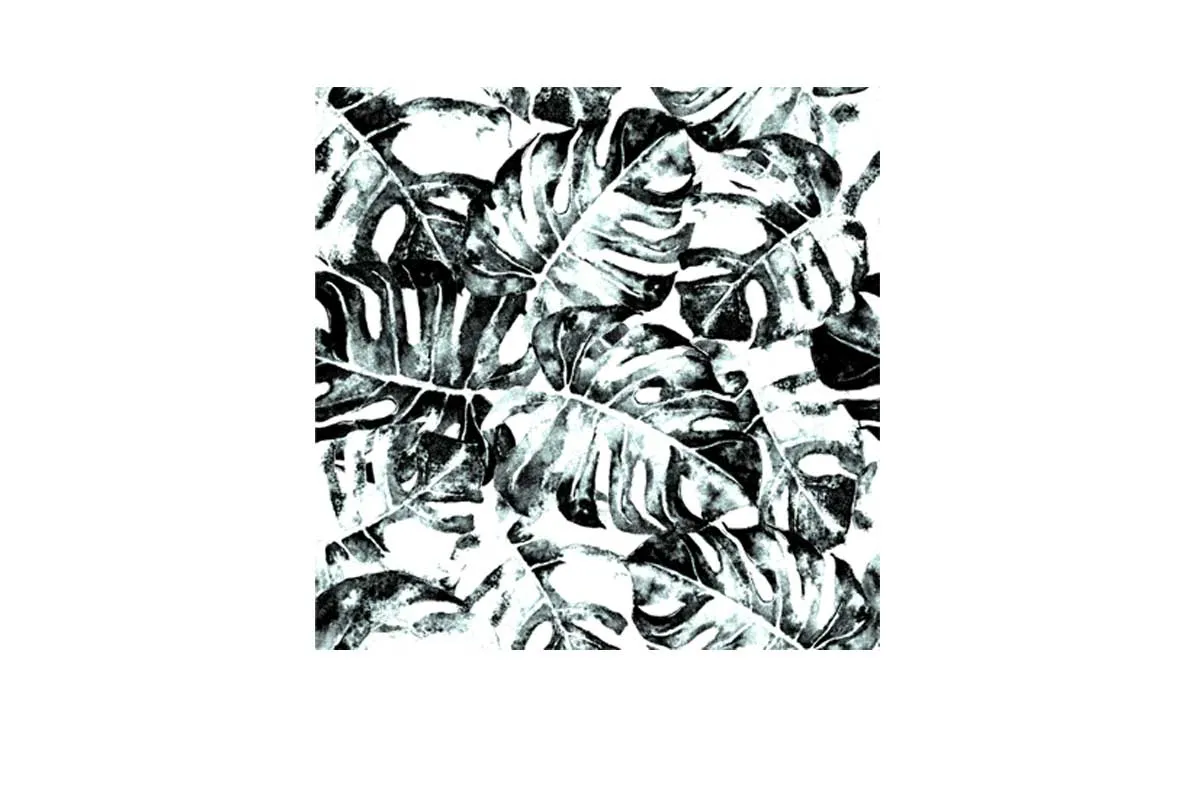 Black and White Monstera | Canvas Wall Art Print