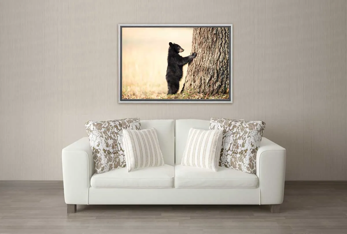 Black Bear Cub | Canvas Wall Art Print