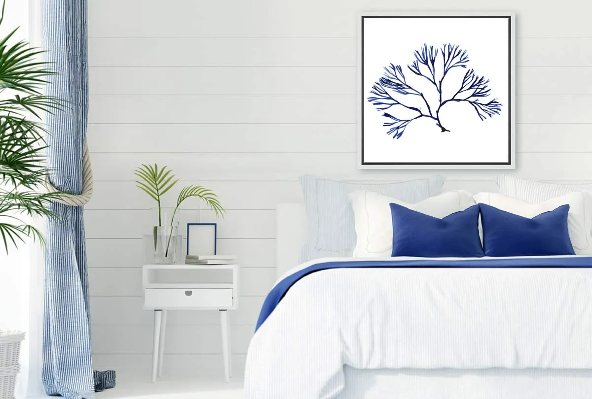 Blue Seaweed 2 | Hamptons Canvas Wall Art Print