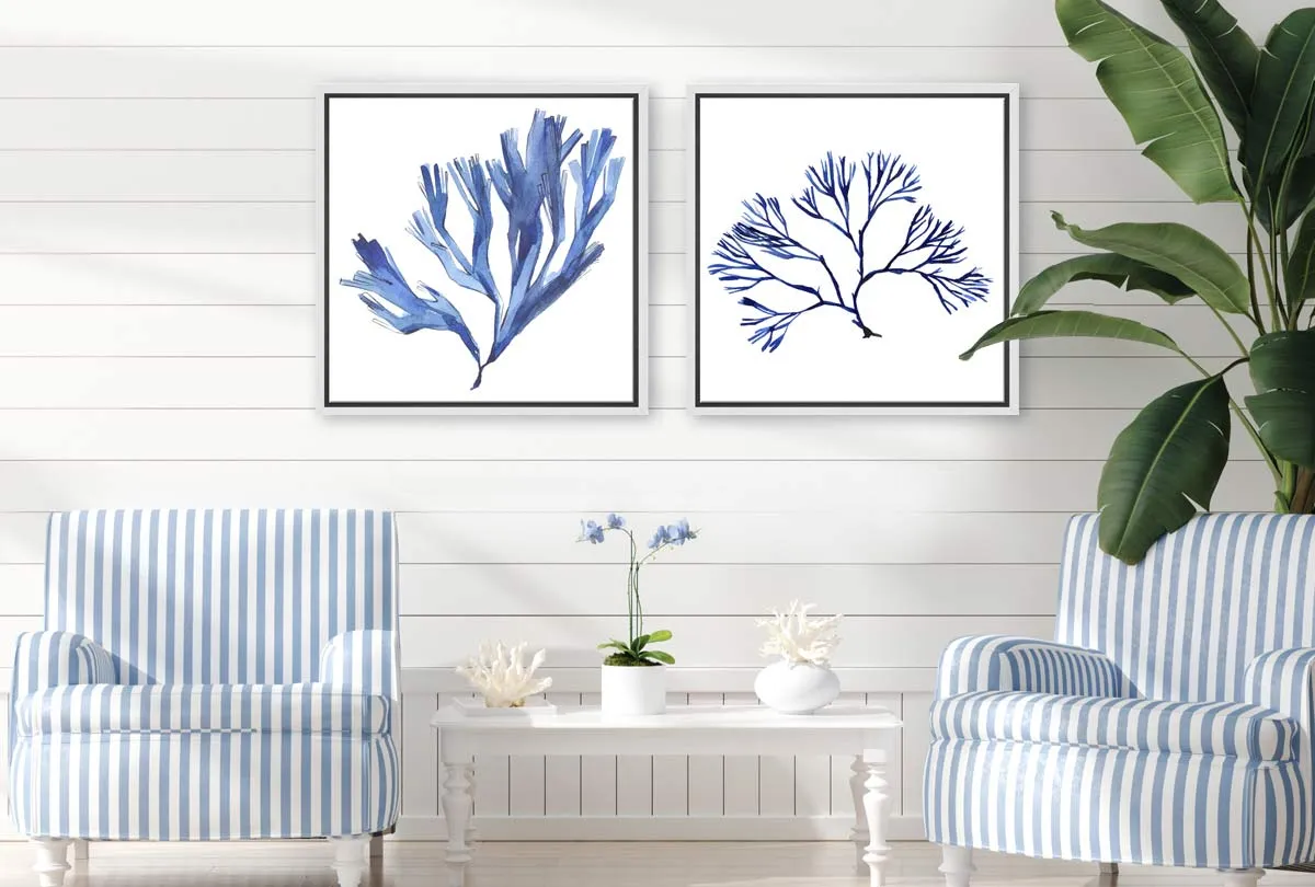 Blue Seaweed 2 | Hamptons Canvas Wall Art Print