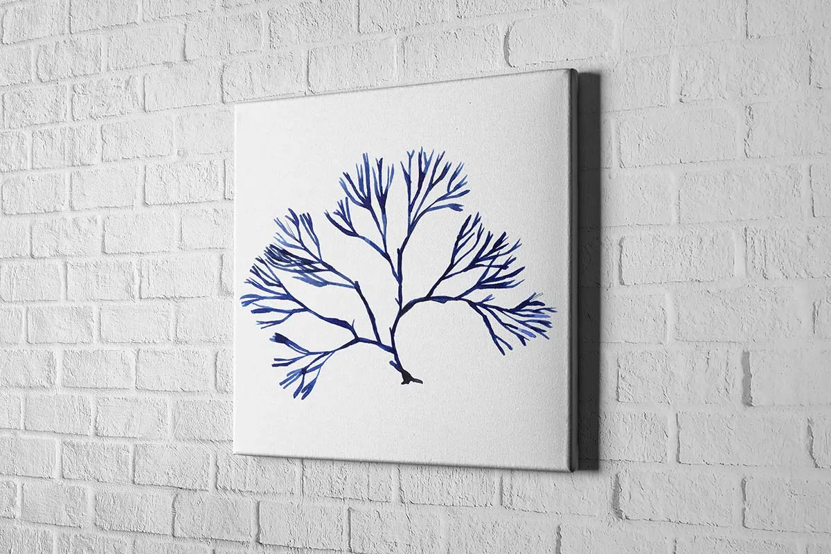 Blue Seaweed 2 | Hamptons Canvas Wall Art Print