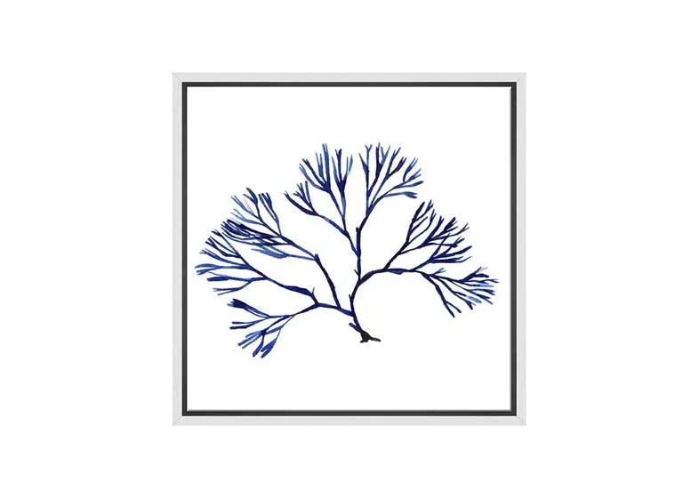 Blue Seaweed 2 | Hamptons Canvas Wall Art Print