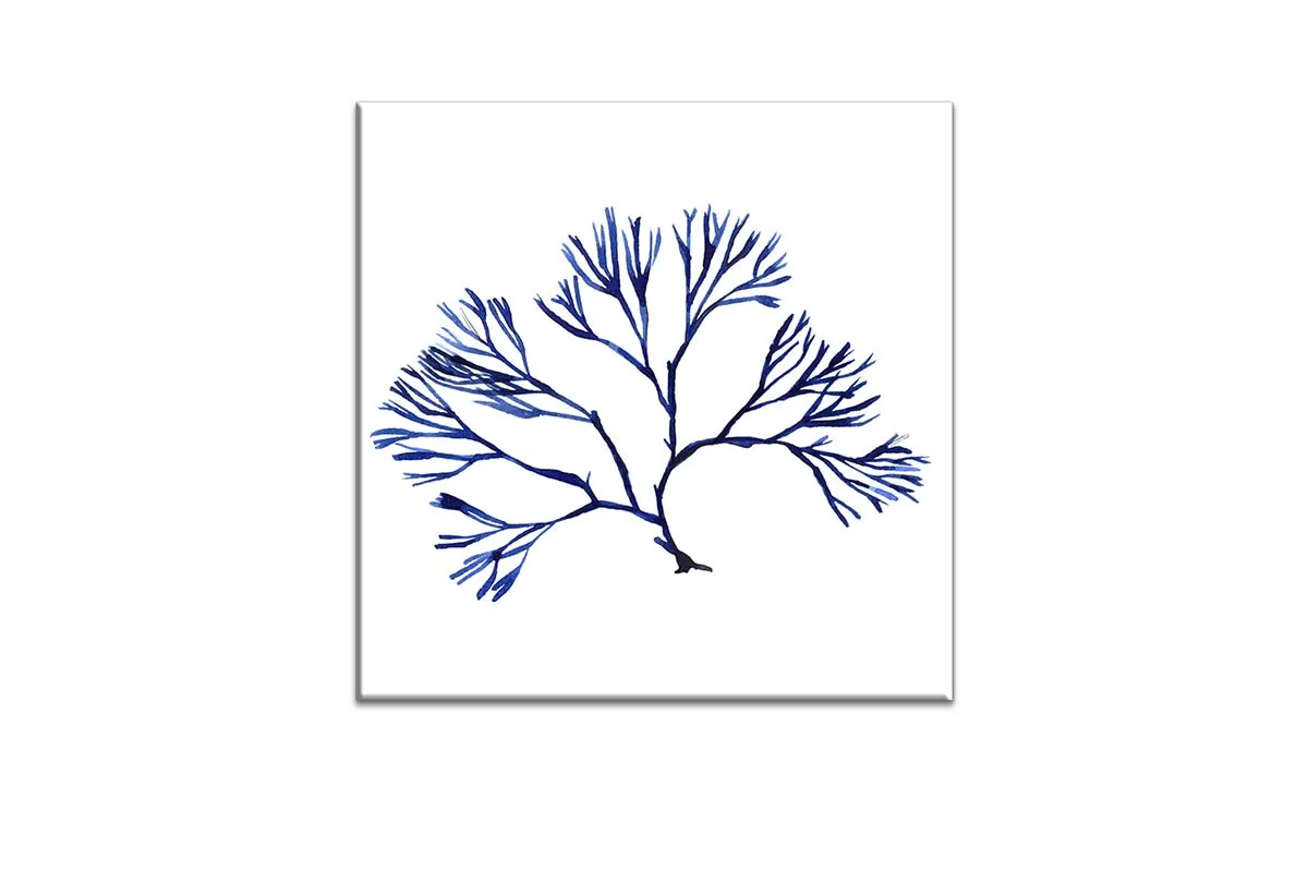 Blue Seaweed 2 | Hamptons Canvas Wall Art Print