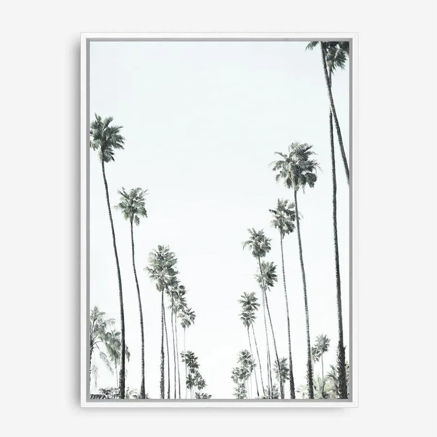 California Palms II Canvas Print