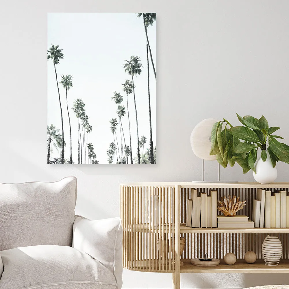 California Palms II Canvas Print