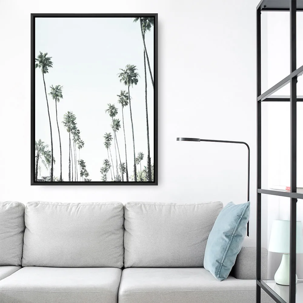 California Palms II Canvas Print