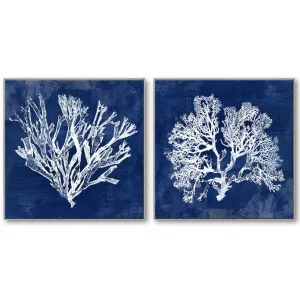 Coral Canvas Framed Set of 2