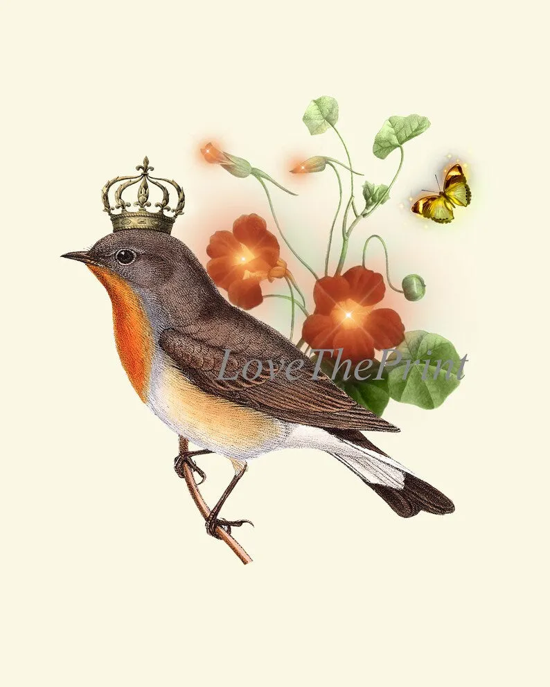 Crown Birds Wall Art Print Set of 4 Beautiful Whimsical Pretty Fairy Flower Queen King Bird Watercolor Painting Home Room Decor to Frame DC