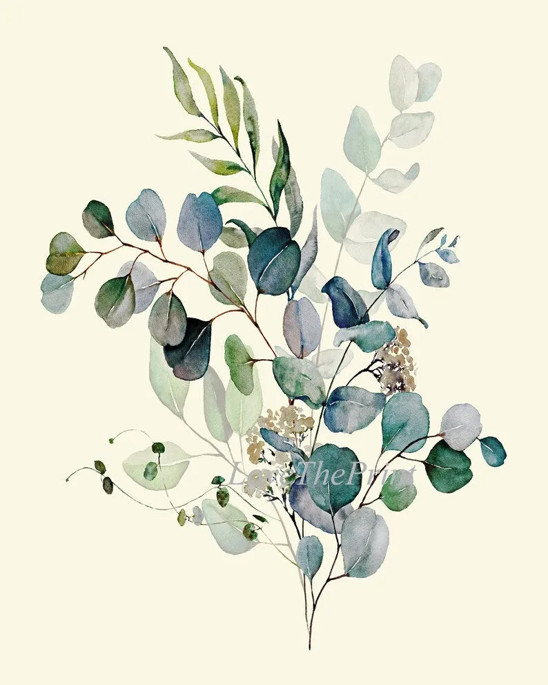 Eucalyptus Botanical Prints Wall Art Decor Set of 4 Beautiful Blue Green Tree Leaf Leaves Relaxation Relaxing Nature Flowers to Frame CMEU