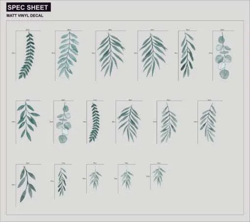 Evergreen leaves