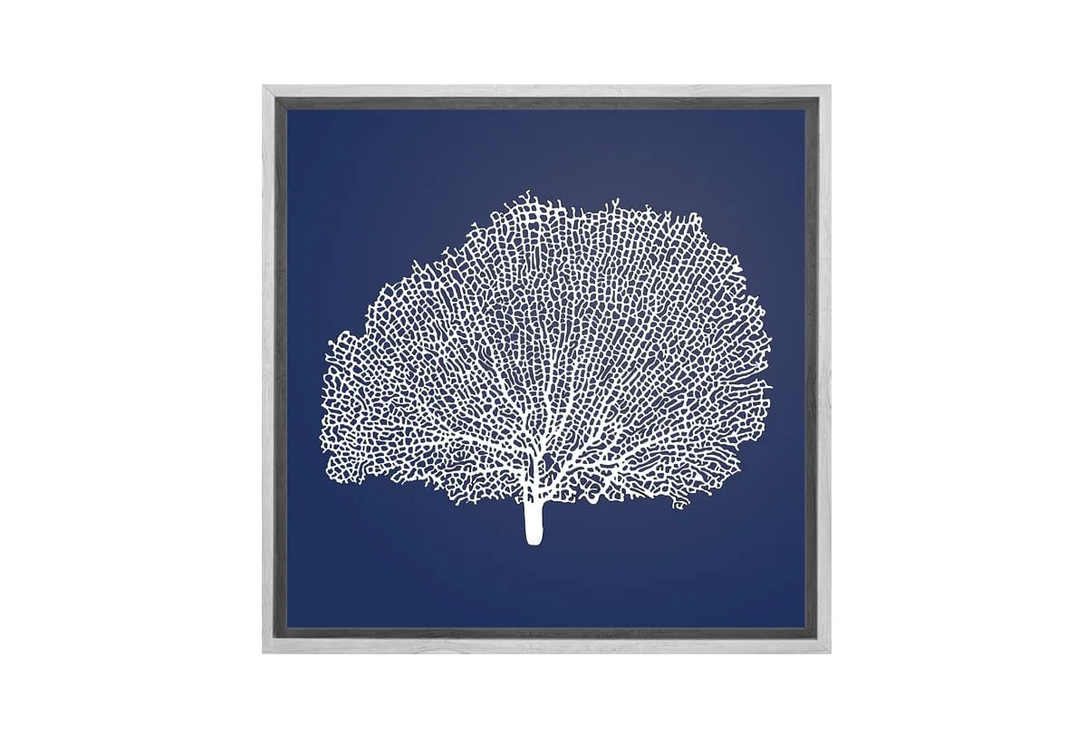 Fan Coral 2 White on Navy | Canvas Wall Art Print