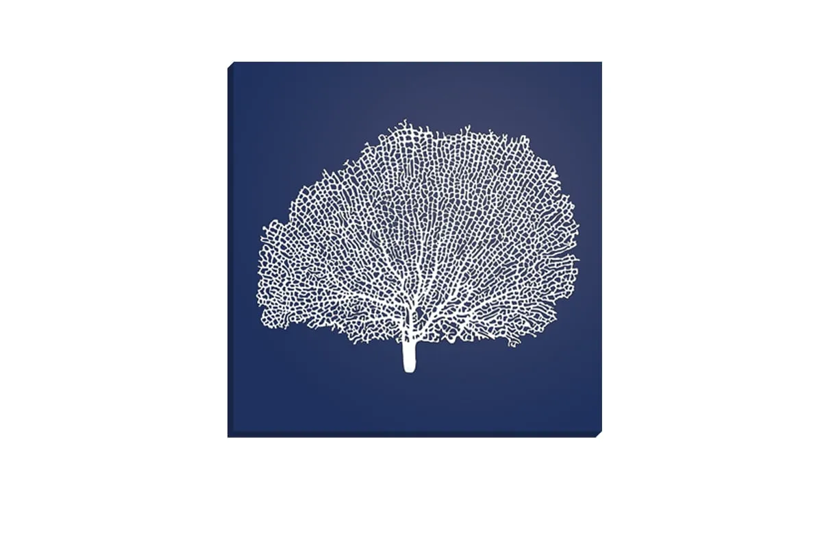 Fan Coral 2 White on Navy | Canvas Wall Art Print