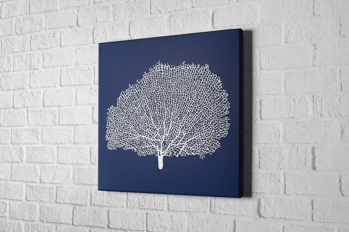 Fan Coral 2 White on Navy | Canvas Wall Art Print