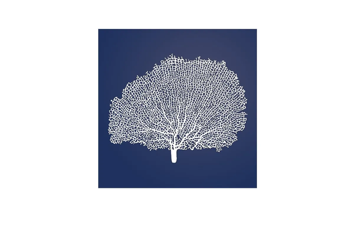 Fan Coral 2 White on Navy | Canvas Wall Art Print