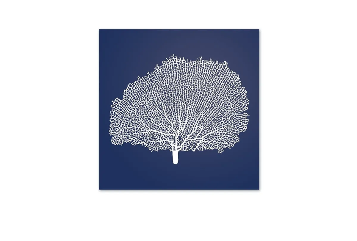 Fan Coral 2 White on Navy | Canvas Wall Art Print