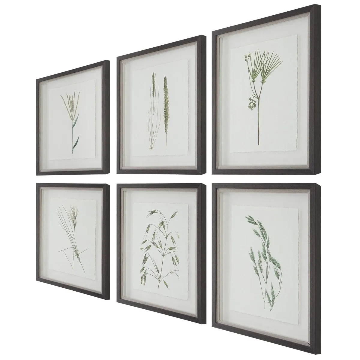 Forest Finds Framed Prints, S/6