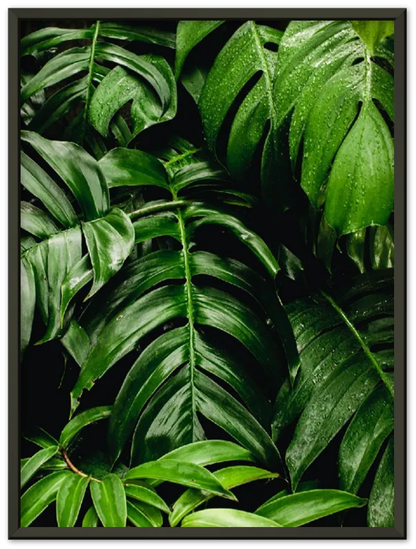 Green Leaves - Print