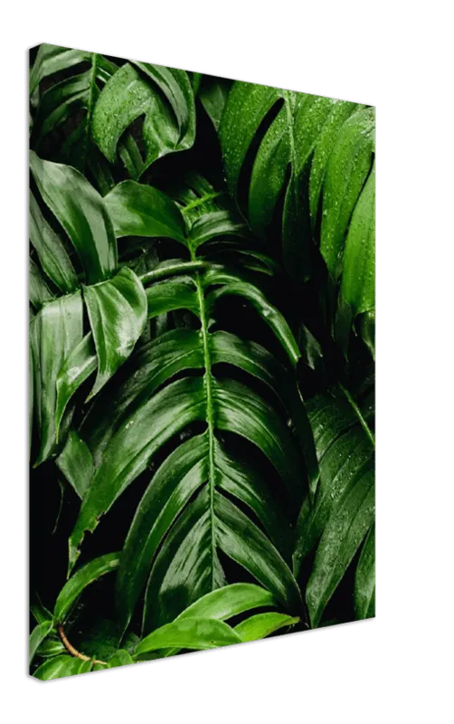 Green Leaves - Print