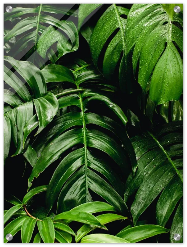 Green Leaves - Print