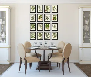 Herbs and Spices Prints Botanical Set of 16 Beautiful Antique Vintage Kitchen Dining Room Interior Design Large Home Decor to Frame KOHS