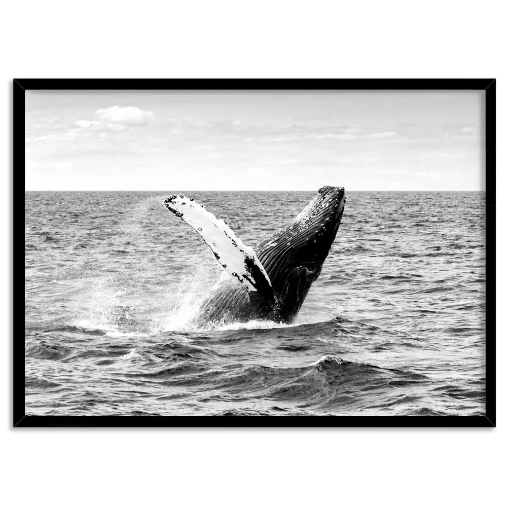 Humpback Whale Breach Landscape II - Art Print