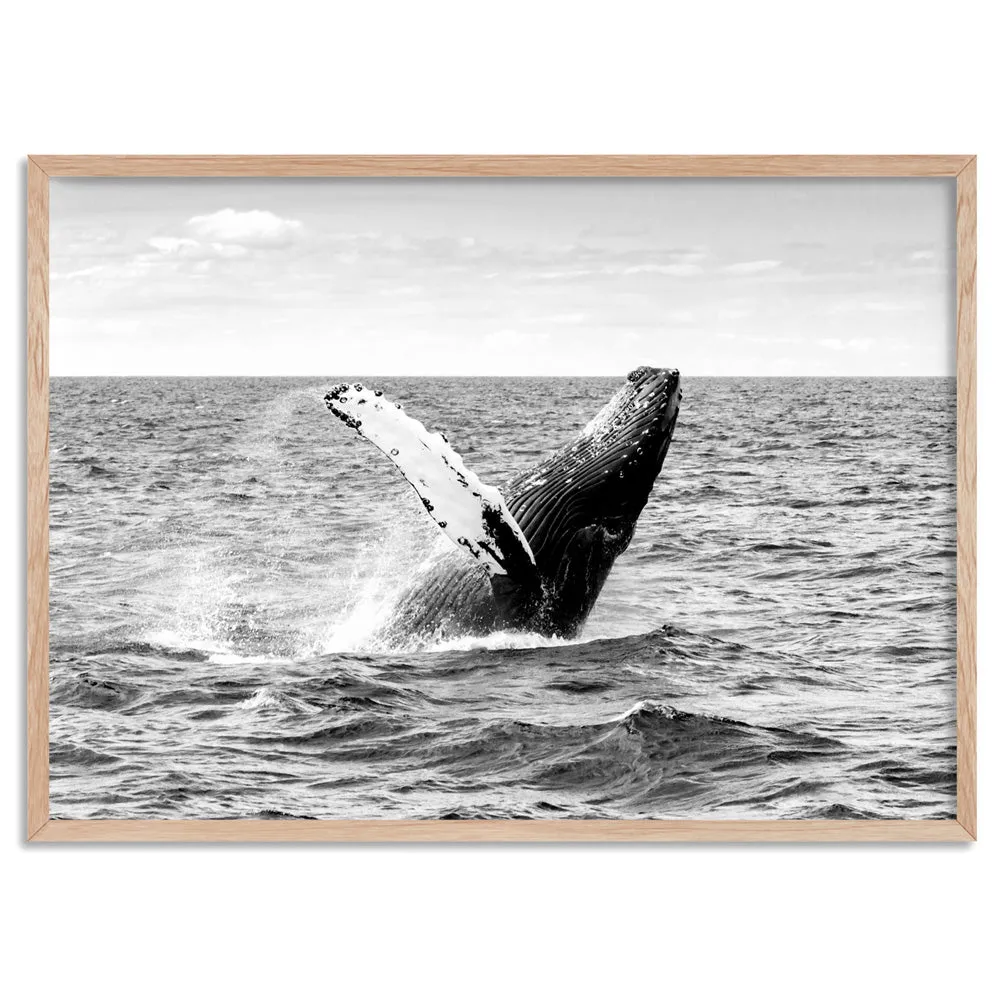 Humpback Whale Breach Landscape II - Art Print