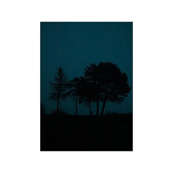 Le Nuit Bleu Original Artist Poster