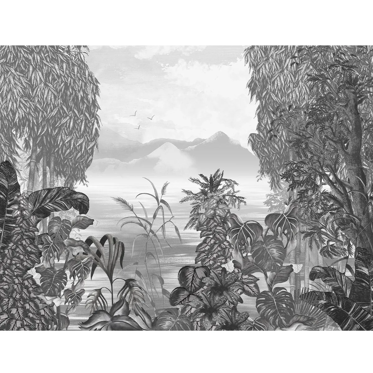 Life in Nature Black & White Jungle Wallpaper
