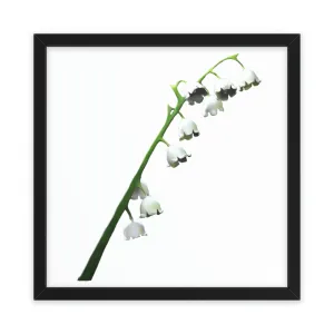 Lilly Framed Poster