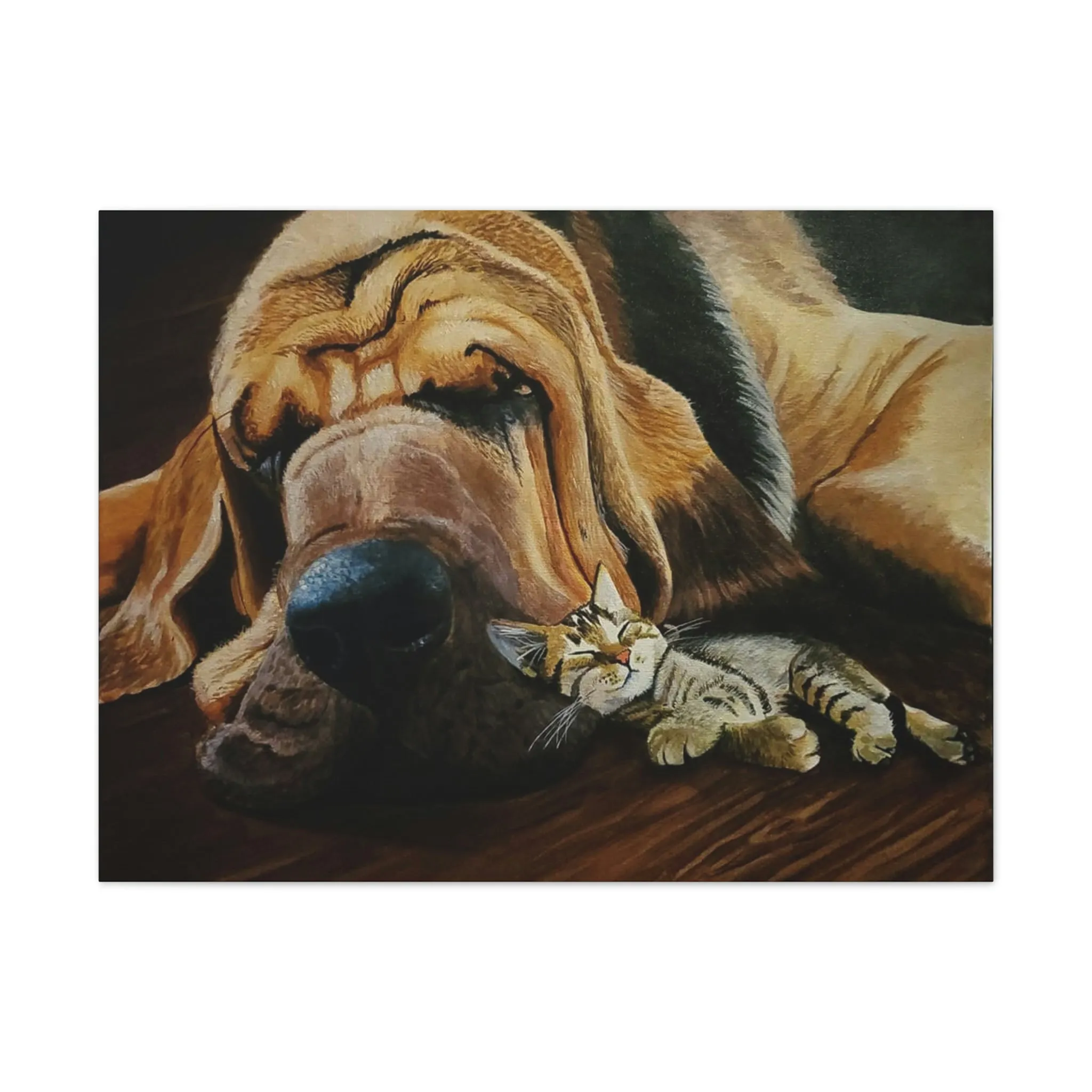 Nap Time Canvas Stretched