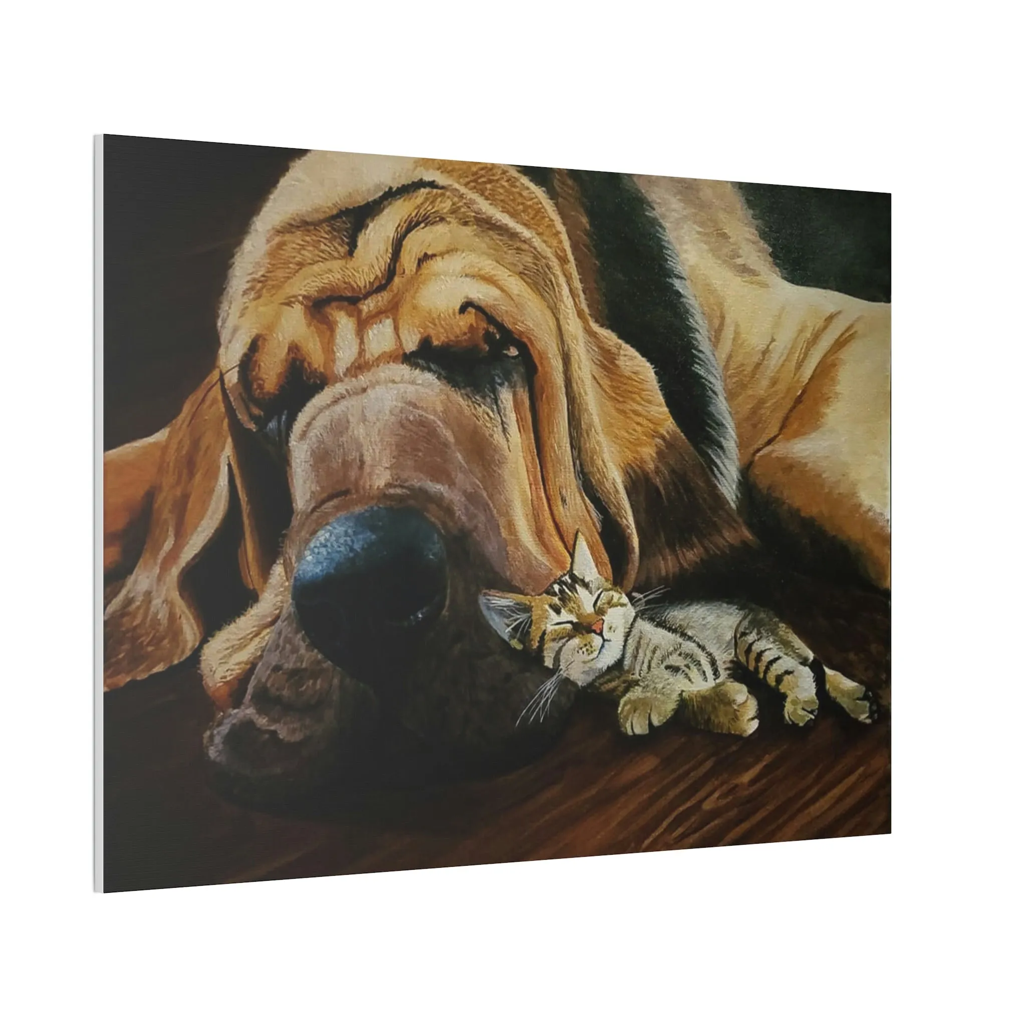 Nap Time Canvas Stretched