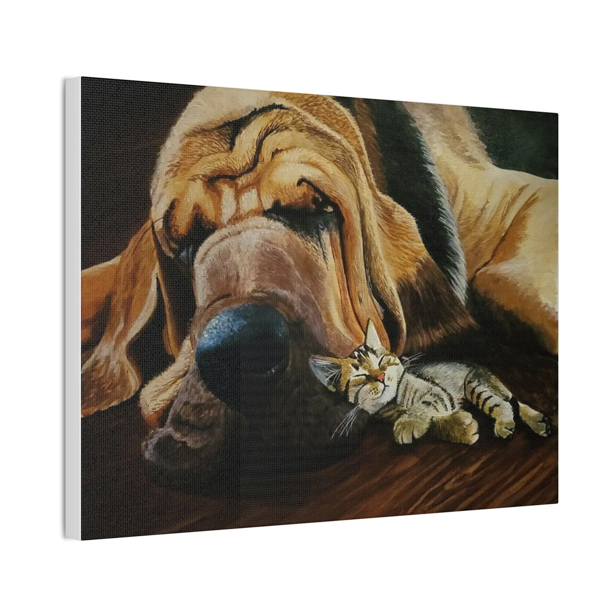 Nap Time Canvas Stretched
