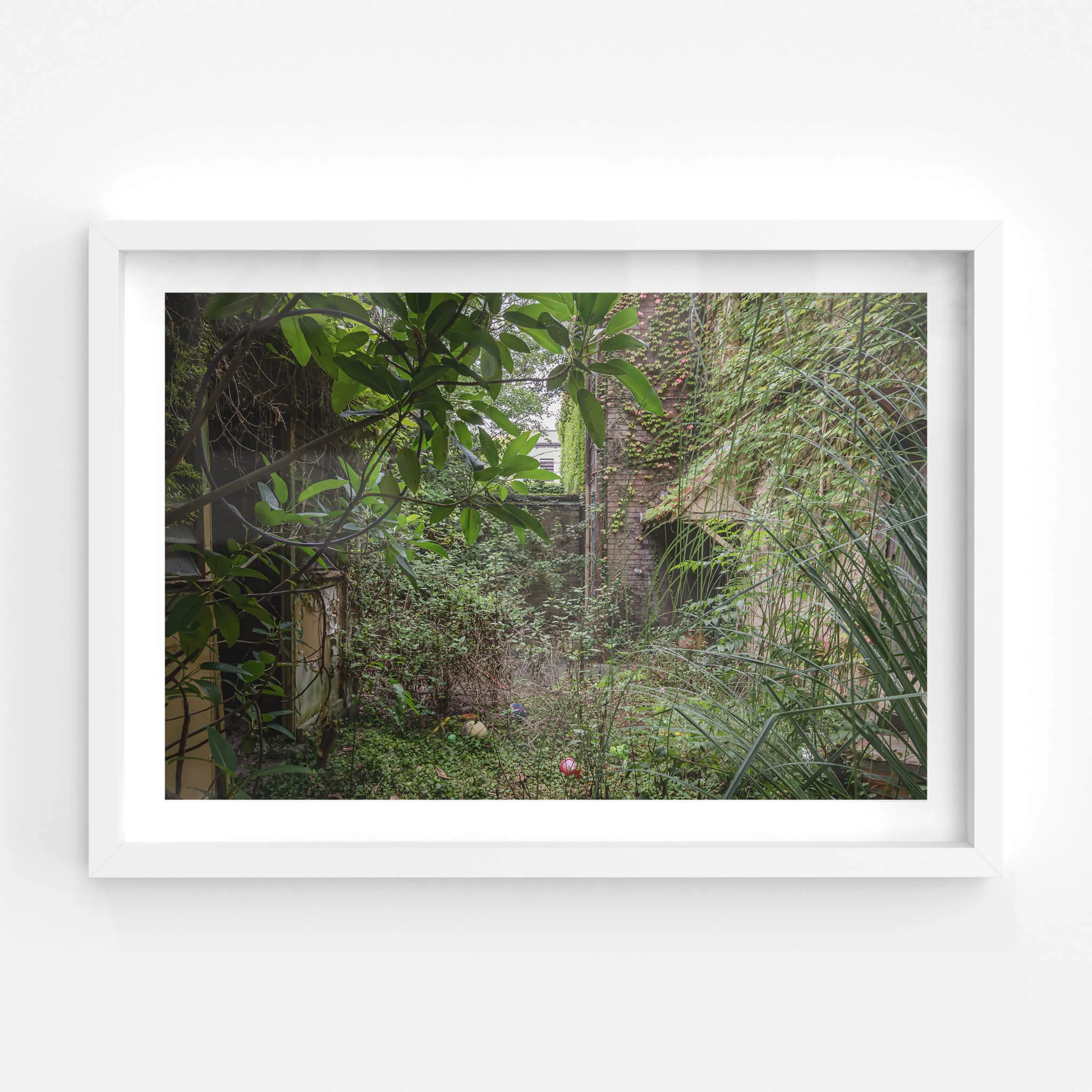 Nature Always Finds A Way | Terminus Hotel