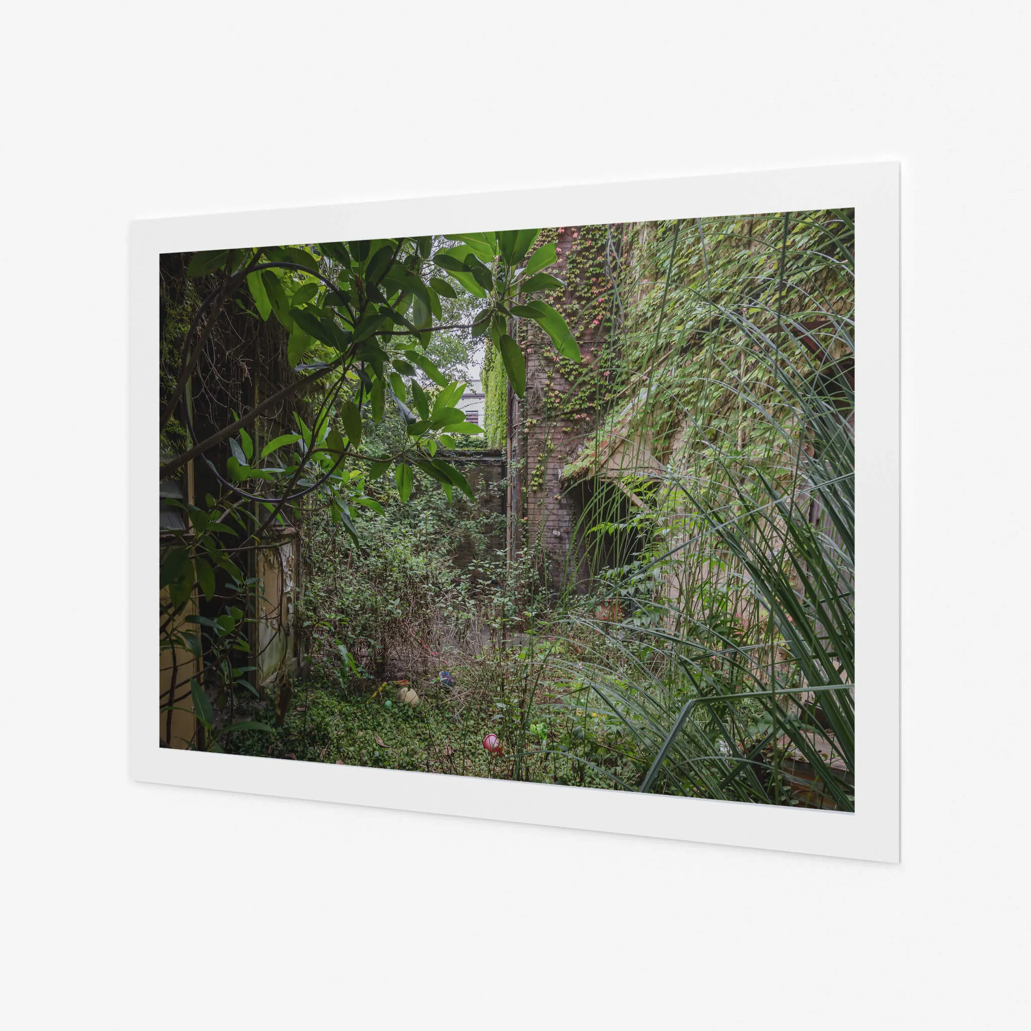 Nature Always Finds A Way | Terminus Hotel