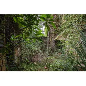 Nature Always Finds A Way | Terminus Hotel