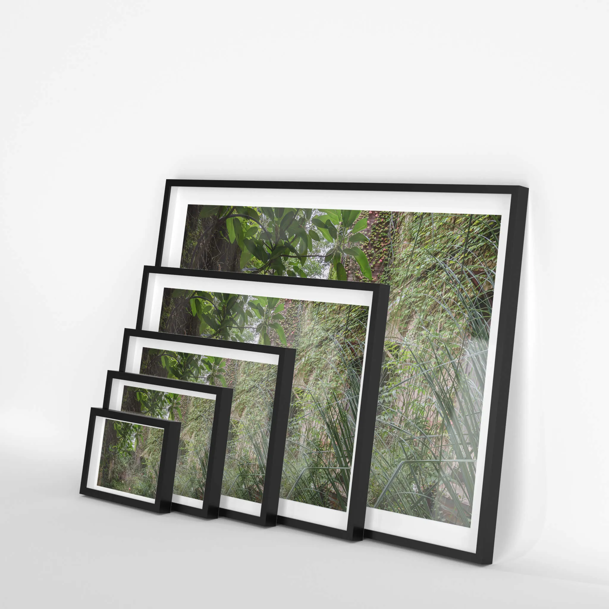 Nature Always Finds A Way | Terminus Hotel
